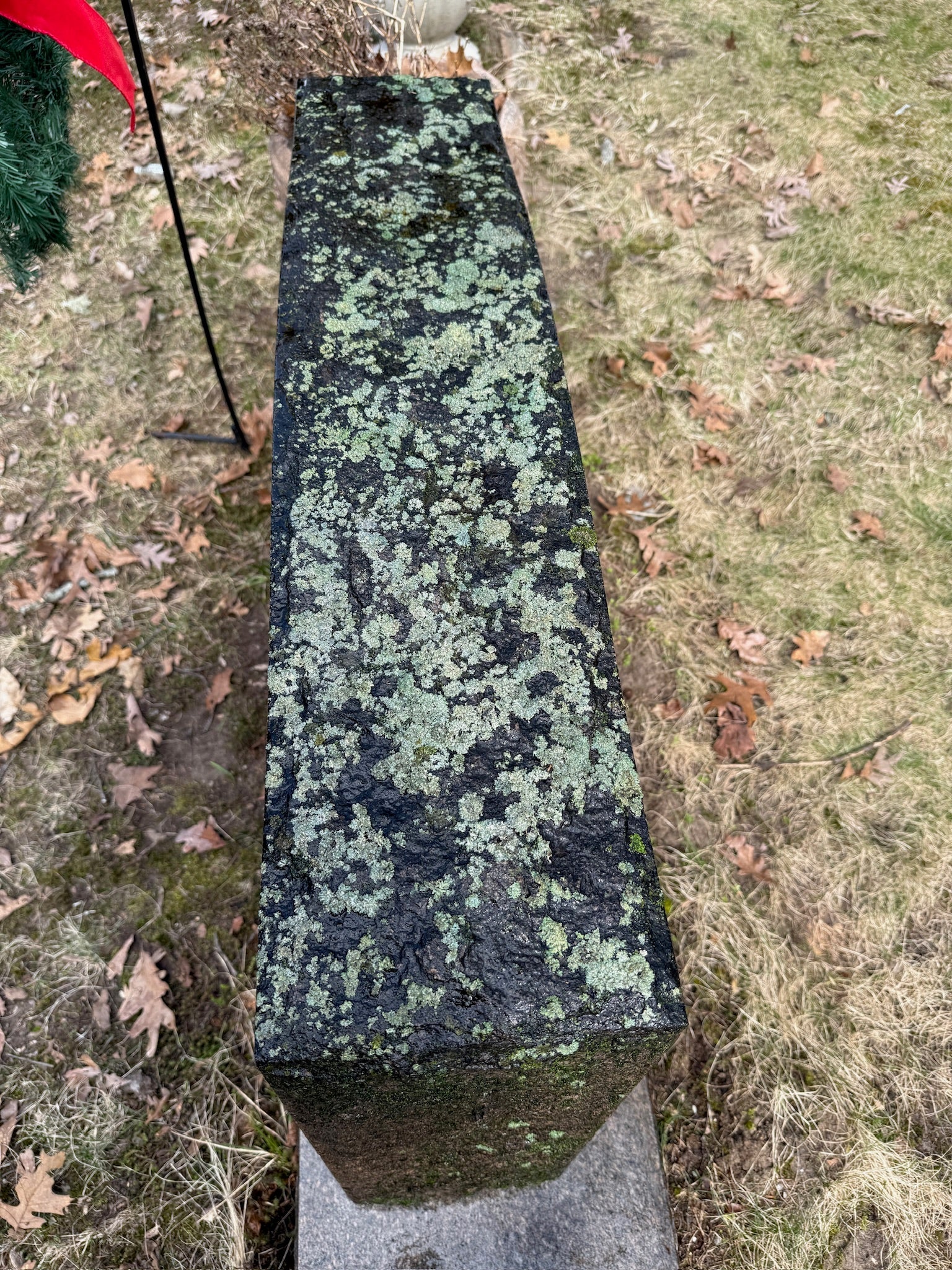 What Is Lichen and Why Is It Harmful to Headstones?