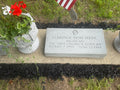 Headstone Deep Clean (Copy2)